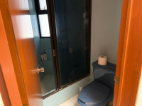 V1197