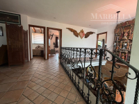 V1629